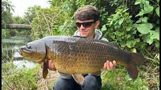 STALKING FOR CARP on a small London river