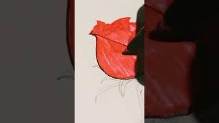 flower drawing #rose #flower #drawing #trending #shorts