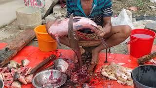 Amazing Cutting Skills ! Giant Katla Fish Cutting Skills #fishcuting
