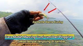 CARA MUDAH MANCING CUMI CUMI SIANG HARI DARI PINGGIRAN