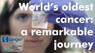 World's oldest cancer: A remarkable journey - Sanger Institute