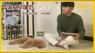 [SOON] 강아지 짖음, 분리불안 교육으로 방문한 호두네!