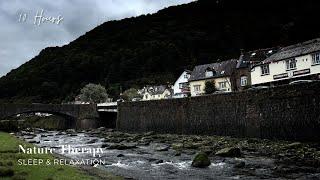 Rainy Day Stream Sounds for Sleep & Relaxation | Falling Rain & Flowing Water Sounds: White Noise