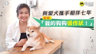 【毛城城專訪】與愛犬攜手相伴七年  娟姐：「我的狗狗很作狀！」｜毛城城MoCity