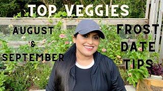 Top Veggies to Plant in August & September | Frost Date Tips!