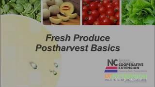 Postharvest Basics for Produce