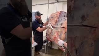 Breaking Down a Beef Forequarter by Hand! #shorts