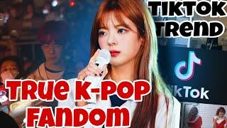 How TikTok Trends Are Changing K-Pop Forever