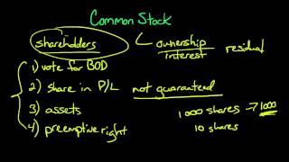 Common Stock (what it is and how to record it)
