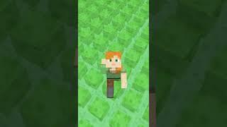 Minecraft AMA Slime Dünyası