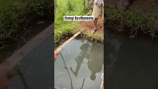 Startegi baru memancing