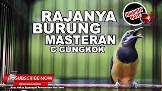 Raja Burung Masteran️Cucak Cungkok Gacor Isian Buka Paruh Kasar dan Tajam