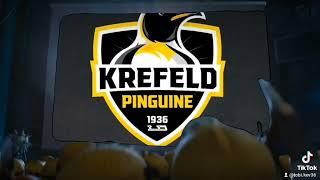 Nur die Krefeld Pinguine 