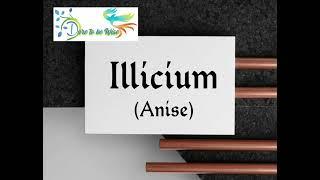 #homeopathicremedy #materiamedica Reading Illicium from BMM