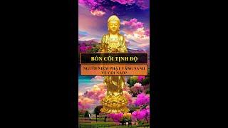 Bốn cõi Tịnh Độ  - Người niệm Phật vãng sanh về cõi nào?| Tuệ Tâm - Bản nguyện niệm Phật vãng sanh.