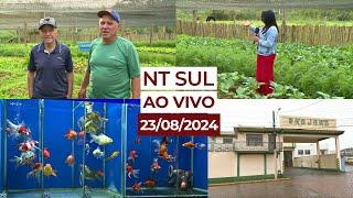 NT SUL AO VIVO 23-08-2024 | TV NOVO TEMPO