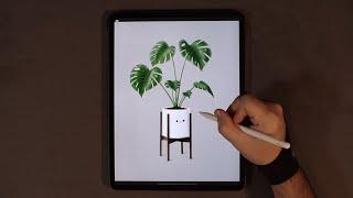 Monstera Plant - Procreate Illustration Process on iPad