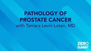 Pathology of Prostate Cancer — 2023 ZERO Prostate Cancer Summit