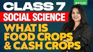 Class 7 Social Science - What Is Food Crops & Cash Crops | Xylem Class 7