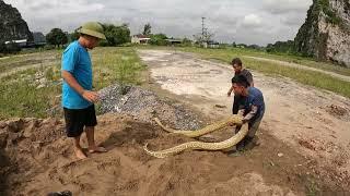 Rescuing Young Man Who Was Eaten By Giant Snake | Fishing VLogs