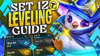 Set 12 Leveling Guide | TFT - Teamfight Tactics | BunnyMuffins