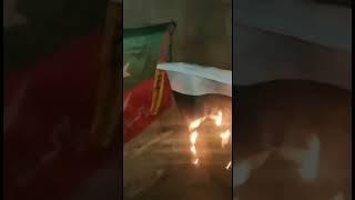 PTI Worker Burn Pakistani Flag 