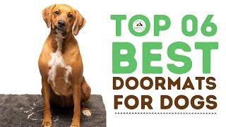 Top Best Doormats For Dogs