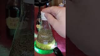 How To Make Elixirs - Plant Alchemy