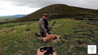 Chasse en Montagne du mouflon.