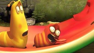 LARVA | WATERMELON | Videos For Kids | LARVA Full Episodes