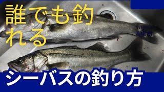 シーバスの簡単な釣り方