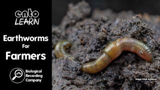 Earthworms For Farmers