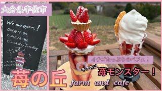 【大分県 宇佐市】  苺の丘〜farm  and  cafe〜  甘〜いイチゴがたくさんのったパフェその名は『苺モンスター』