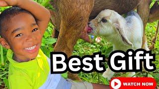 His Reaction Was Priceless (Must Watch)‼️