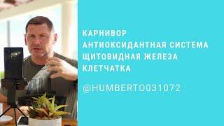 Кето диета. Карнивор. Антиоксидантная система. Щитовидная железа. Клетчатка.