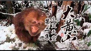 Great Mount Huangshan Episode 2 Paradise for Living Beings