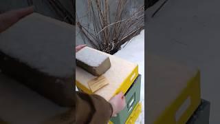 ЗОЛОТАЯ ПЧЕЛА VIV 55!!!Что творится!!??