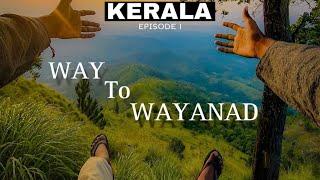 Way to Wayanad | Tea Garden | Amazing View | Wayanad | Kerala (god’s Own Country) #wayanad  #kerala