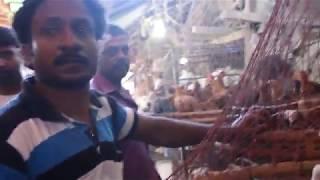 Amazing Chicken Market In Bangladesh | Travel Bangla 24 | Chicken Meat Market