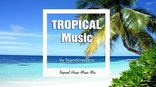 Tropical House Mix 2024  [Tropical house instrumental]  #tropicalhouse