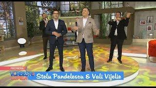 Stelu Pandelescu  Vali Vijelie - Sotia mea frumoasa ( HiT ) 2019