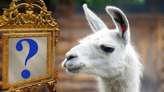 Llama vs. Mirror