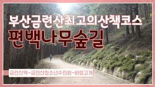 상쾌한공기!!부산금련산최고의산책코스~편백나무숲길~