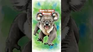 Its a wicked world? - Astrology message 2025