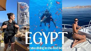 Scuba Diving in the Red Sea! | Dive sites you must see