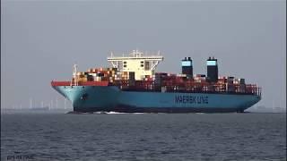 MARIE MAERSK  - Shipspotting Germany  IMO 9619933 - River Elbe near City Otterndorf