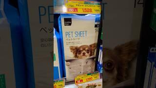 Japanese Pet Sheet Packs  #japanese #fun #shorts #funpackage