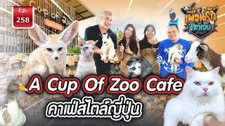 A Cup of Zoo Cafe คาเฟ่สไตล์ญี่ปุ่น I เพื่อนรักสัตว์เอ๊ย Ep.258