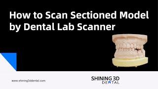 How to Scan Sectioned Model by Dental Lab Scanner