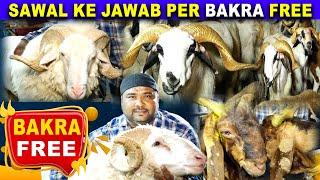 Free Bakra | Ek Sawal Ke Jawab Per ₹ 80,000/- ka Bakra Free | Hyderabad Bakra Mandi | Ali Khan Chotu